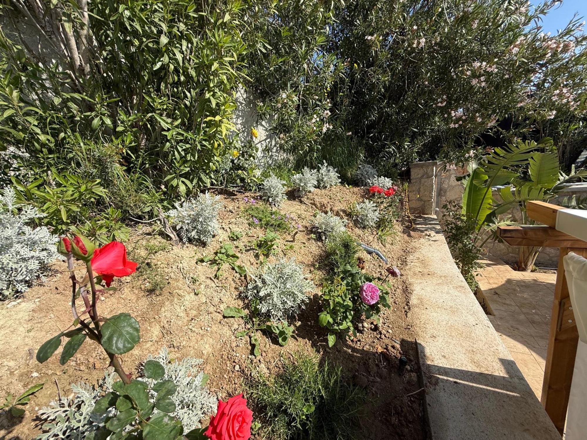Gatsby Rhodes Brand New Exclusive Villas Ασγούρου Εξωτερικό φωτογραφία